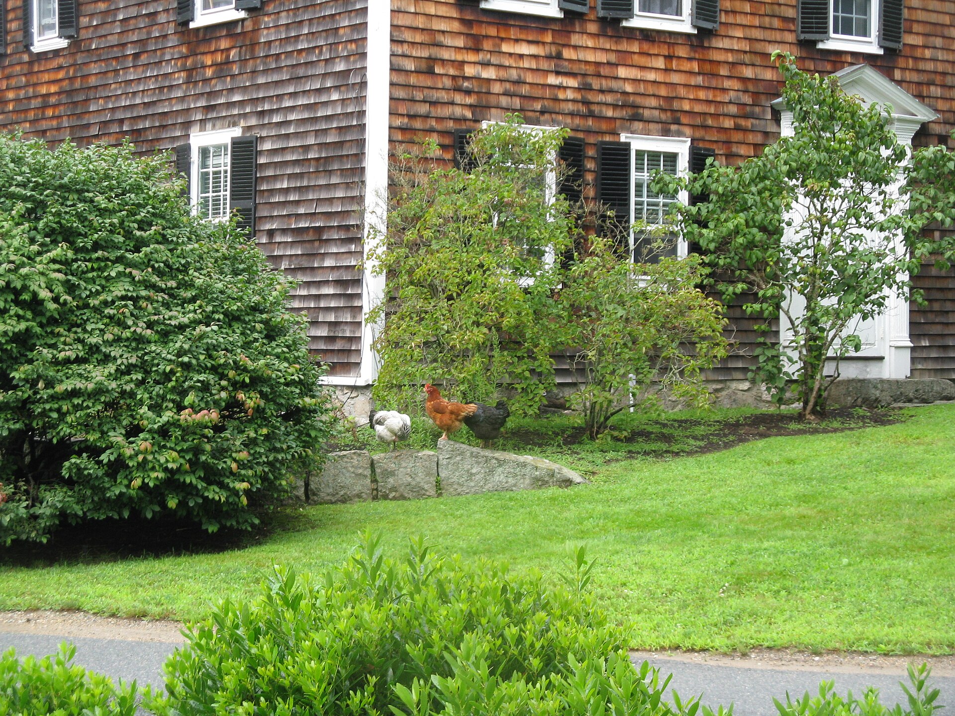 Cleaning services Norwell, MA House and office cleaning in Norwell, MA by Get it Clean Services